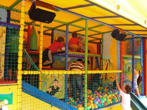 cage-ouistitis-de-nuit-avec-jeux-de-lumière