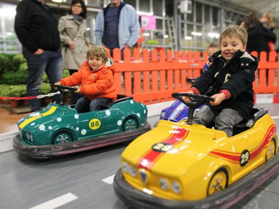 circuit-course-voiture