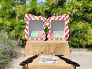 jeux-de-tir-à-la-carabine