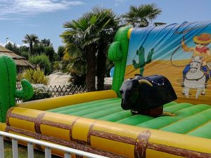 location-taureau-mecanique