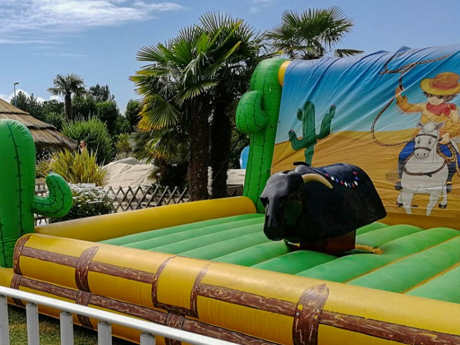 location-taureau-mecanique