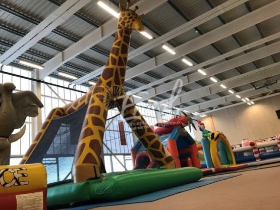 plaine de jeux gonflables