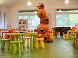 scupltures-sur-citrouilles