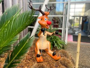 location-decor-rennes