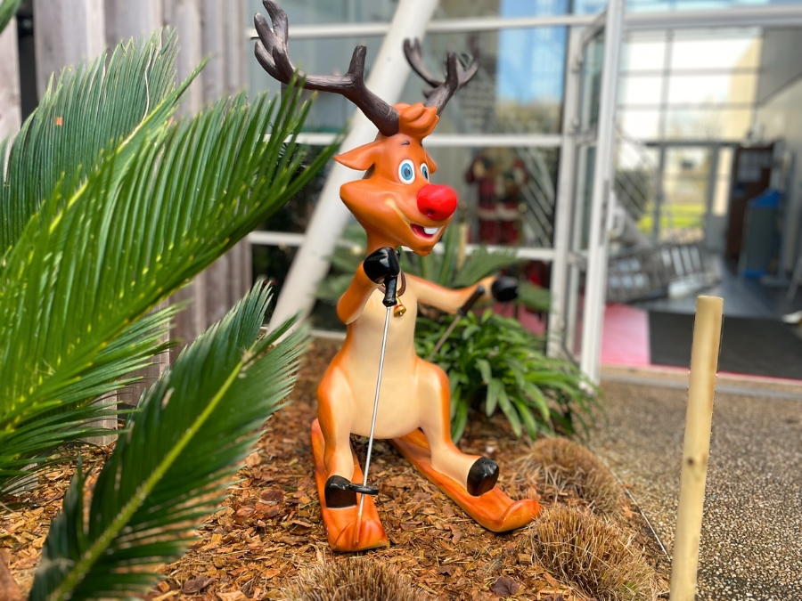 location-decor-rennes