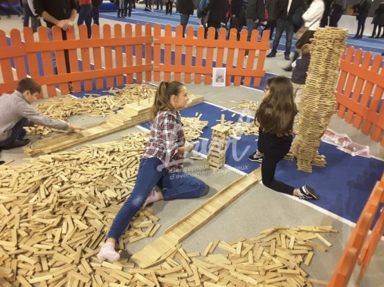 Animation construction kaplas ENVOL