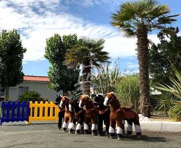 Les poneys mécaniques (Ponys Cycles)