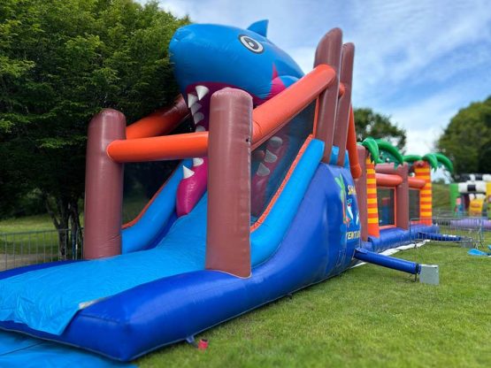 location-structure-gonflable-requin