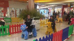 Peluches roulantes Envol