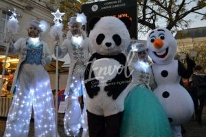 Échassiers blancs lumineux Envol Noël