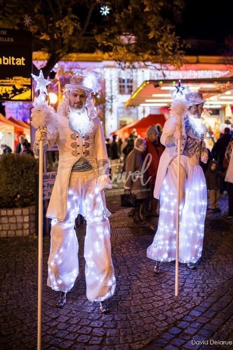 Echassiers de lumières Envol