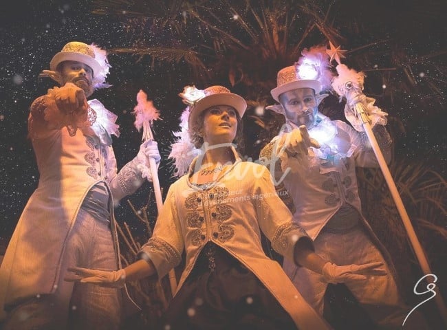 Échassiers blancs et lumineux Envol