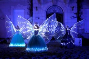 Echassiers lumineux, envol