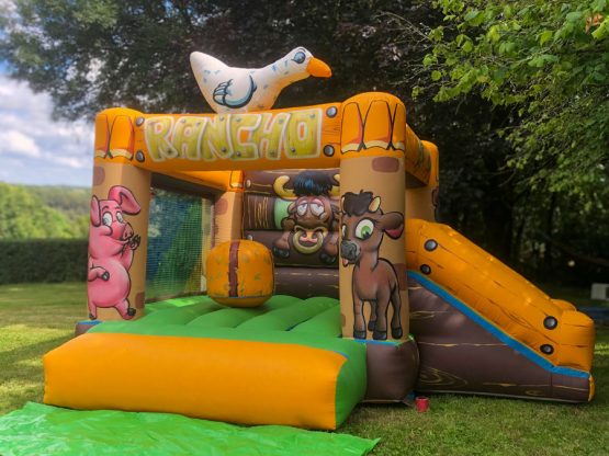 location-chateau-gonflable-animaux