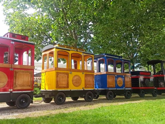 deambulation-petit-train