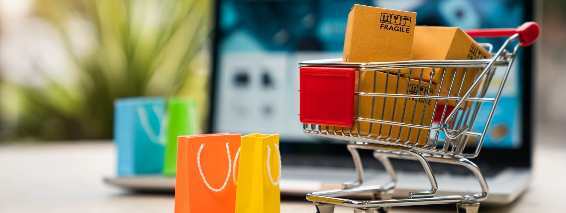 animations-magasin-2024