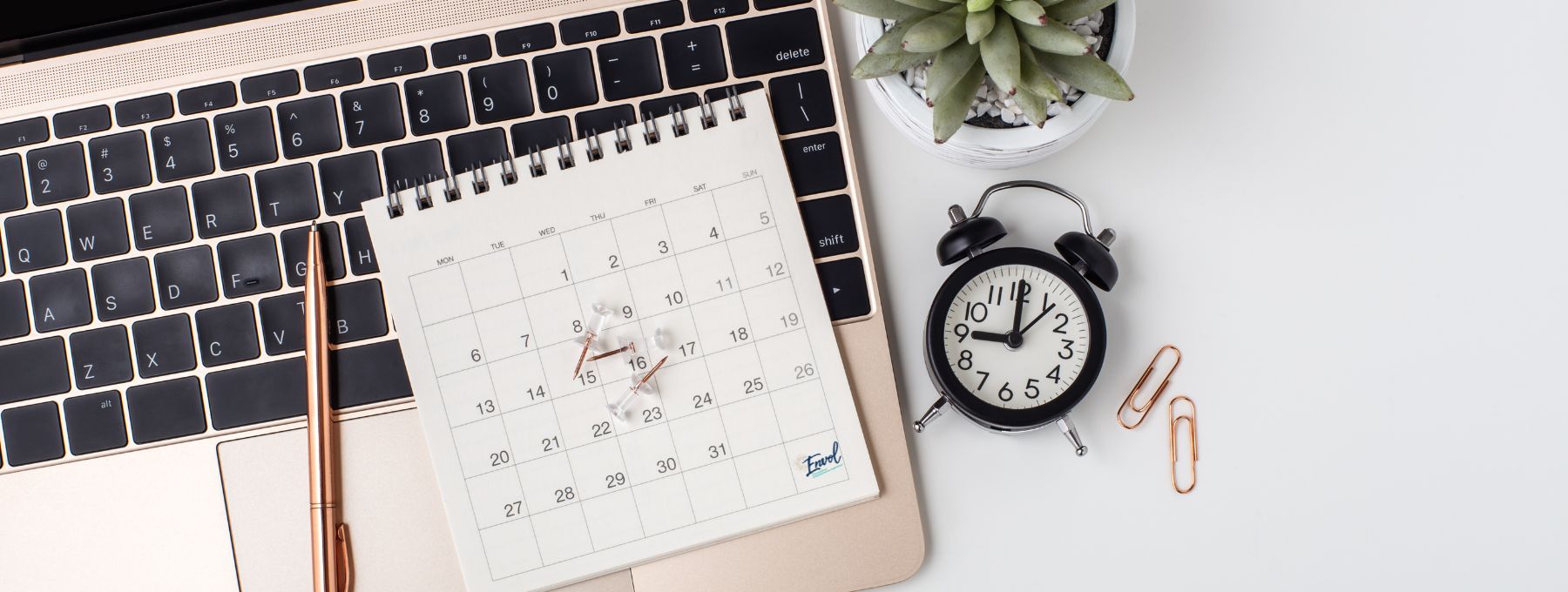 Pourquoi-établir-planning-animations