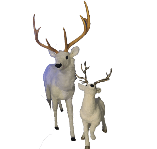 location-rennes-blancs-bnaquise