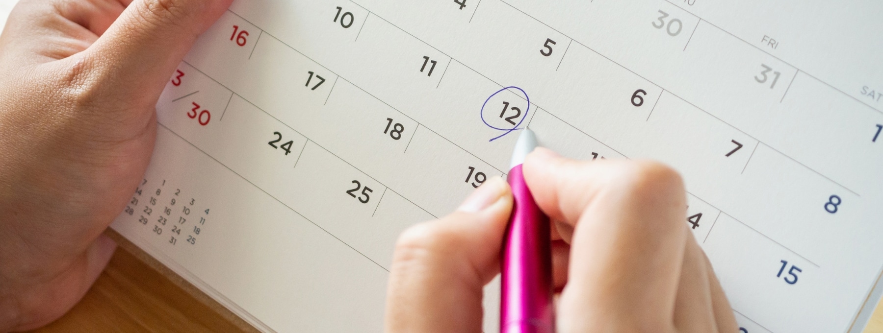 telecharger-exemple-planning-animations-commerciales