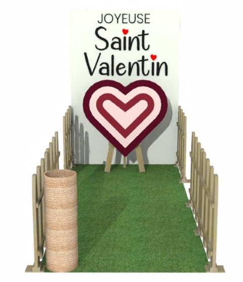 animation-tir-à-larc-coeur