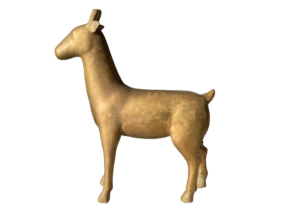 location-biche-doree