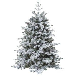sapin-floqué-décoration