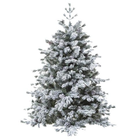 sapin-floqué-décoration