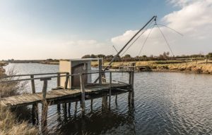 Marais-gachere-court-sejour-vendee- collaborateurs