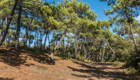 Team building Les Sables d’Olonne Team building Les Sables d’Olonne