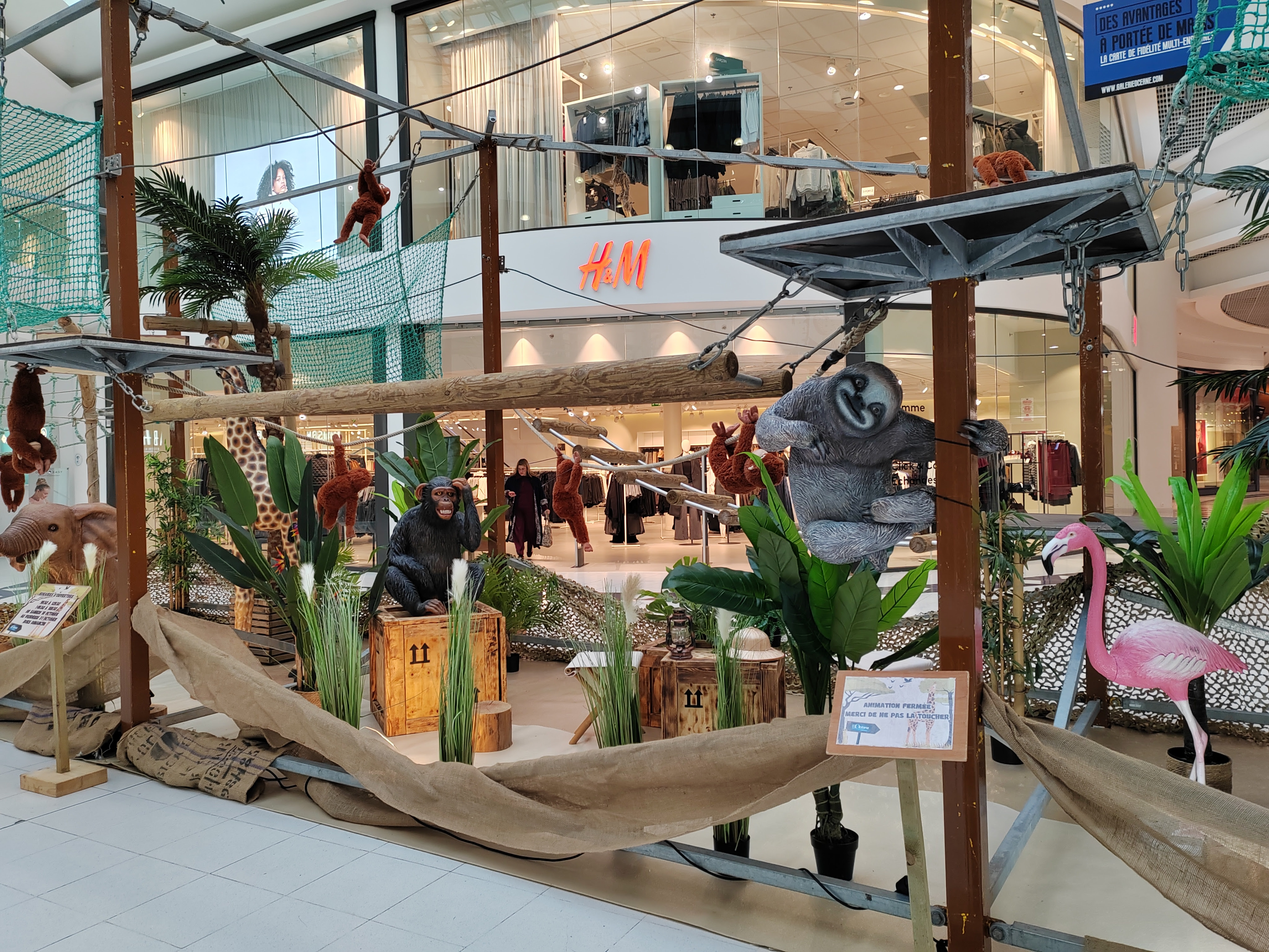 accrobranche-location