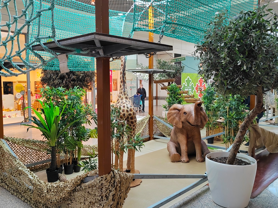 location-accrobranche