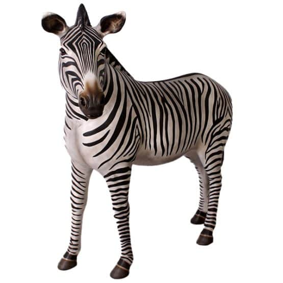 location-décor-zebre