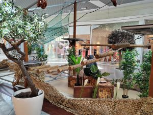 location-parcours-aventure