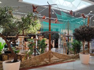 parcours-accrobranche