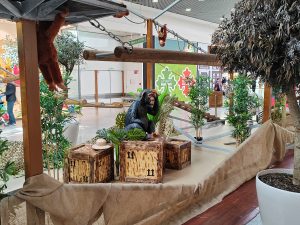 parcours-aventure-accrobranche