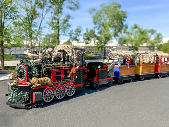 petit-train-safari-commerce