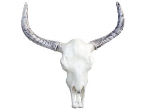 crane-taureau-resine