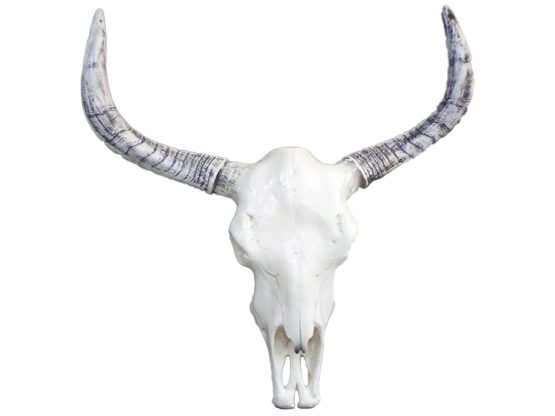 crane-taureau-resine