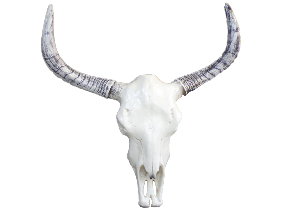 crane-taureau-resine