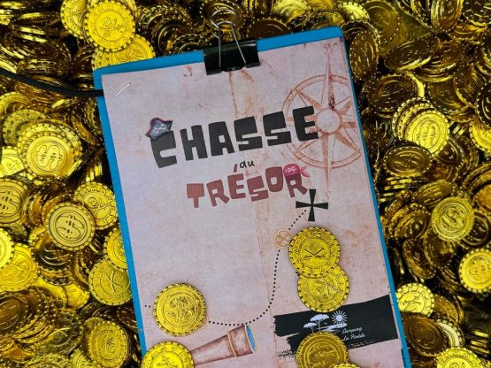 animation-chasse-au-trésor-pro