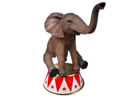elephant-cirque