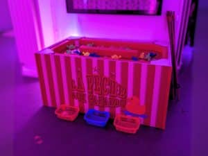 location-peche-aux-canards-adultes