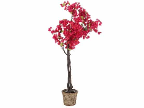 Décoration-bougainvilliers rose