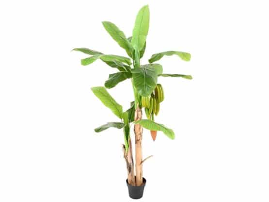 location-décoration-bananier-artificiel