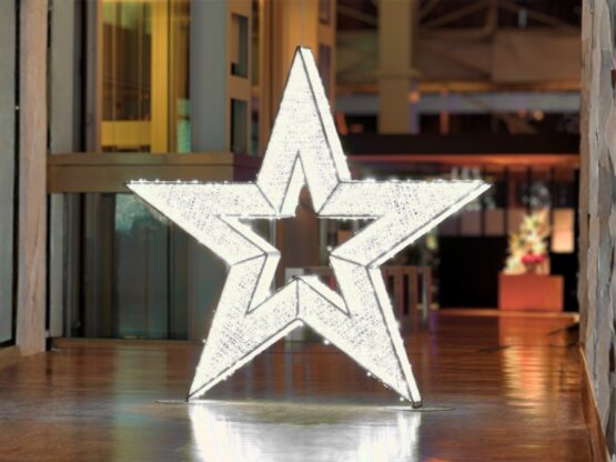 location-etoile-lumineuse