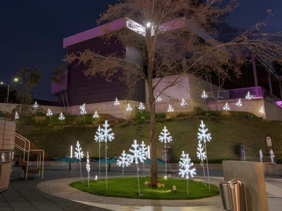 location-sapin-flocon-blanc-froid